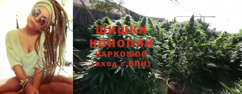 цены   Новодвинск  Бошки марихуана SATIVA & INDICA 